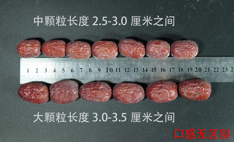 大中顆粒對比圖.jpg