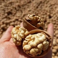 今年新貨薄如紙皮核桃實(shí)惠散裝生原味阿克蘇185仁白孕婦成人