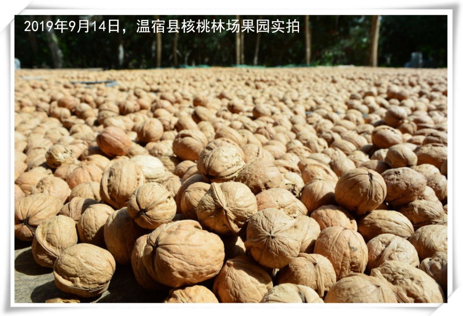 新圖用圖_09.jpg
