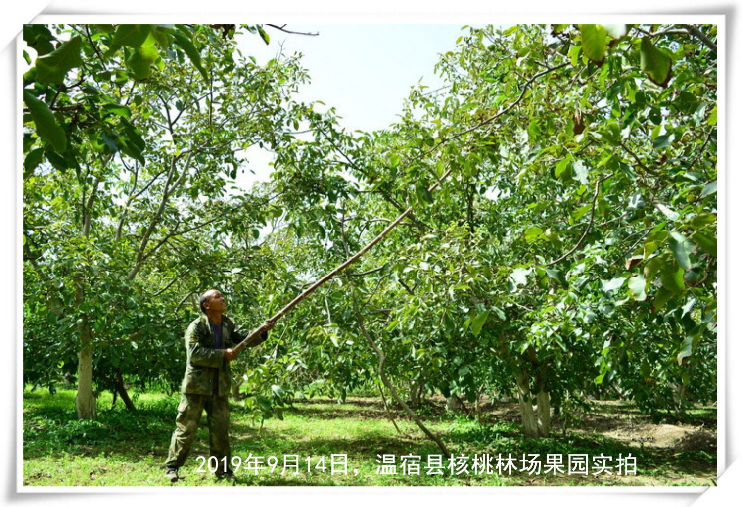圖5.jpg