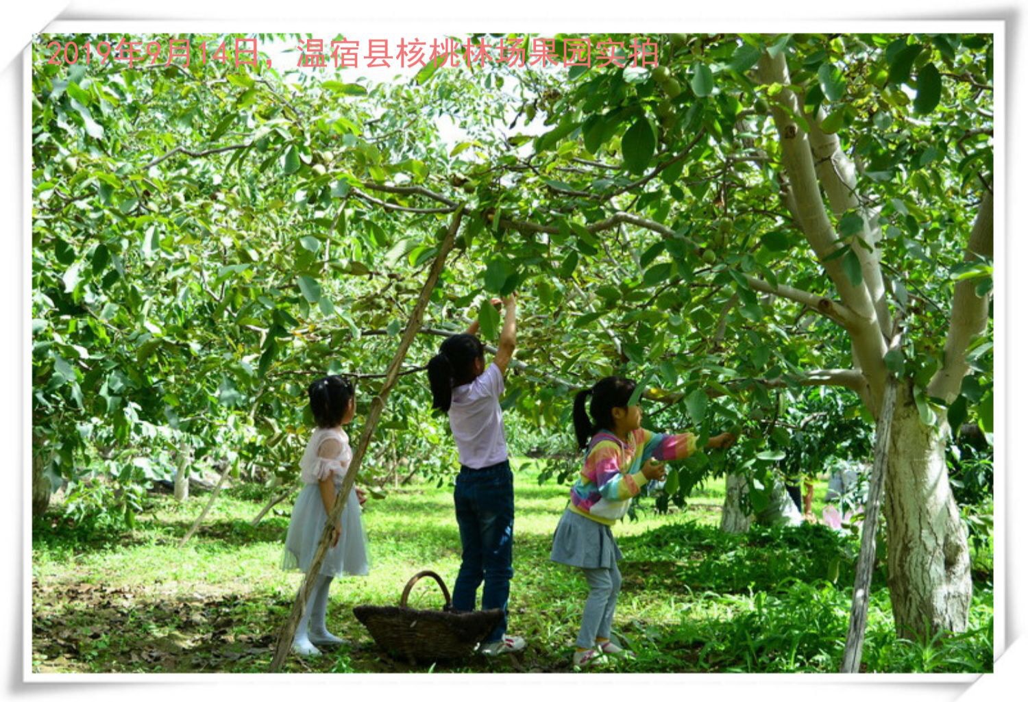 圖36.jpg