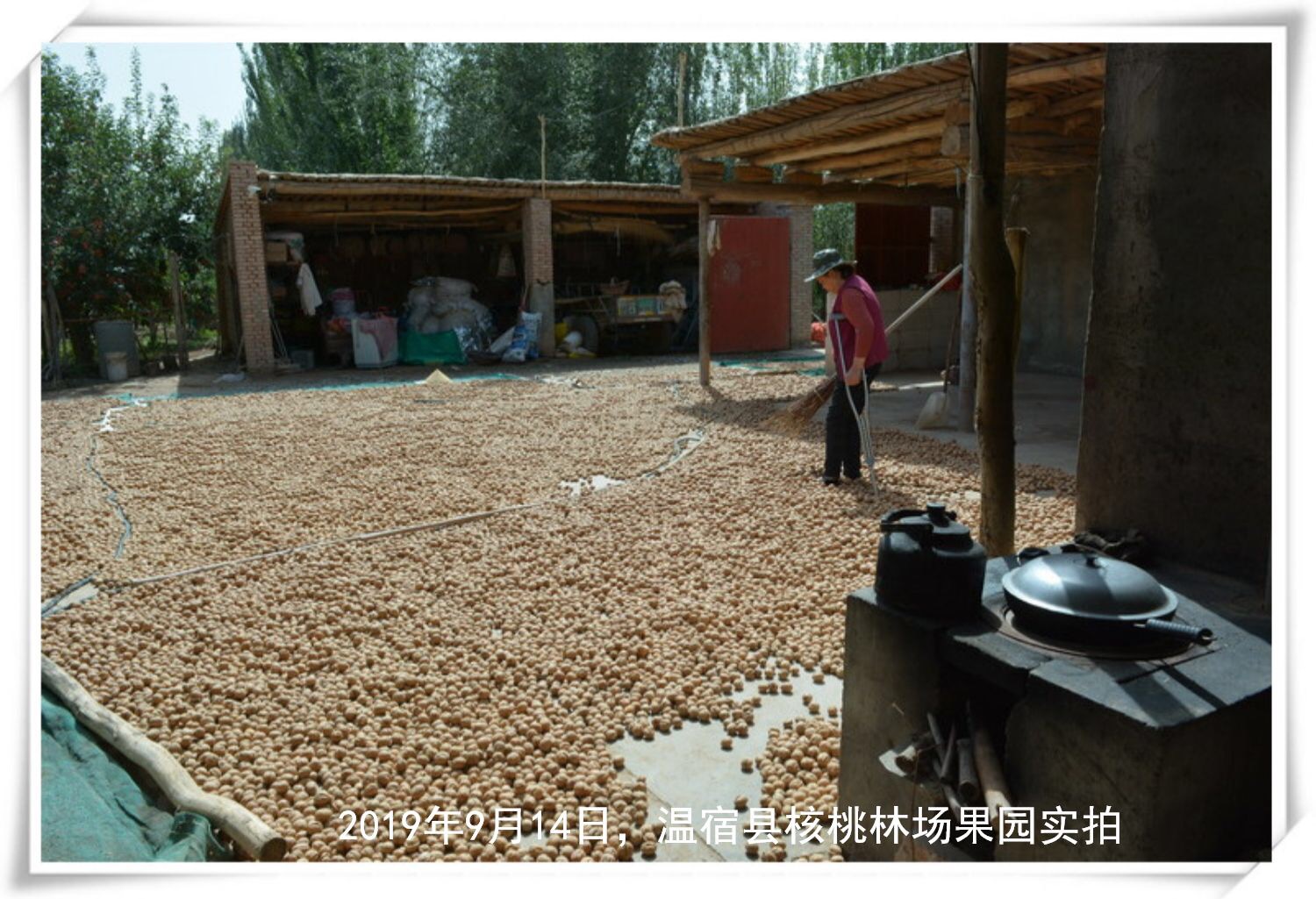 圖28.jpg