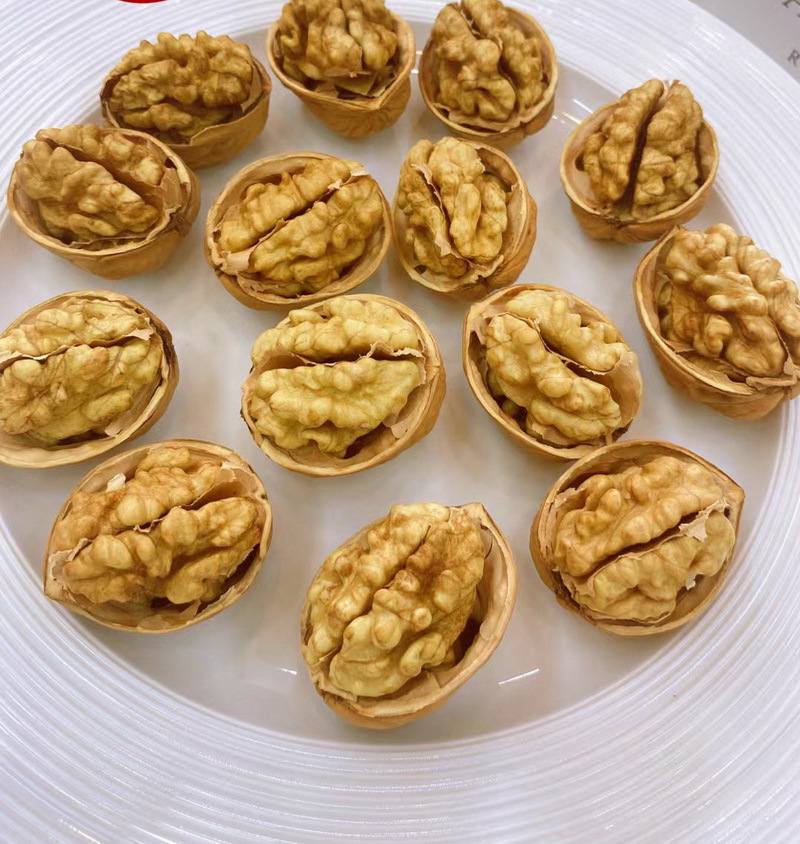 新圖用圖_04.jpg