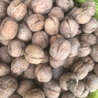 新疆特產(chǎn)批發(fā)185紙皮核桃 晾曬無漂白原味核桃干果原料薄皮核桃