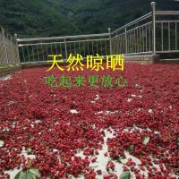 新貨花椒甘肅隴南大紅袍花椒500g火鍋餐飲調味品散裝武都產(chǎn)地直銷
