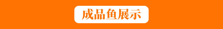 成品魚展示