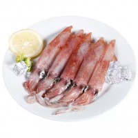 福建東山島 手釣大管 魷魚 槍魷魚 海鮮冷凍水產(chǎn) 食用農(nóng)產(chǎn)品
