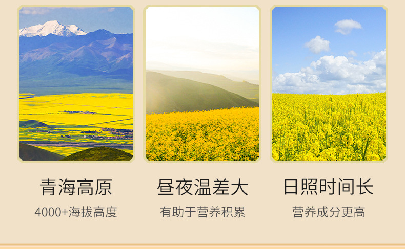 蜂王漿_04