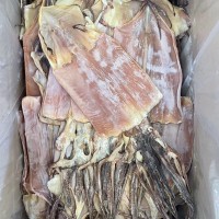 海產(chǎn)干貨 水產(chǎn)干貨批發(fā) 微咸干魷魚 魷魚干 魷魚