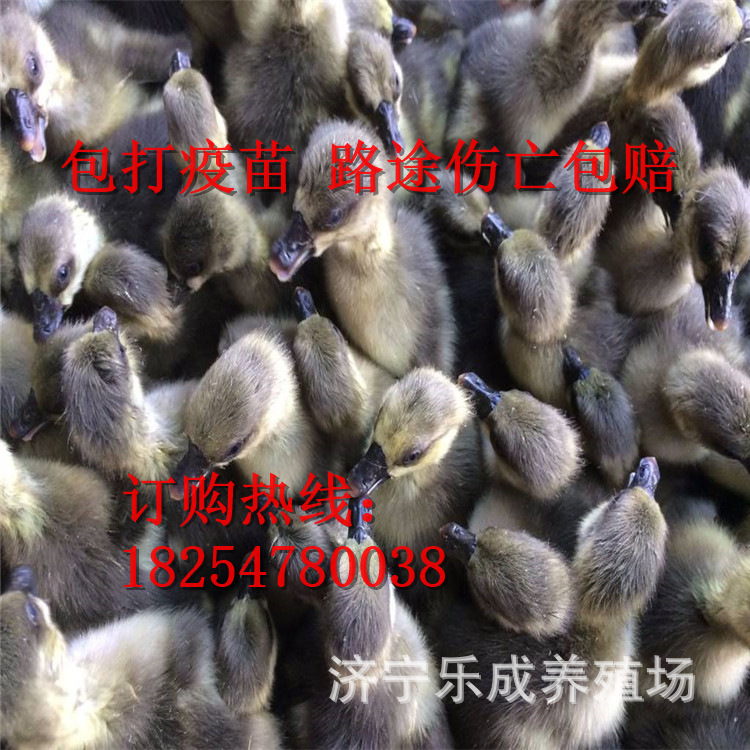 微信圖片_2020061922343414.jpg