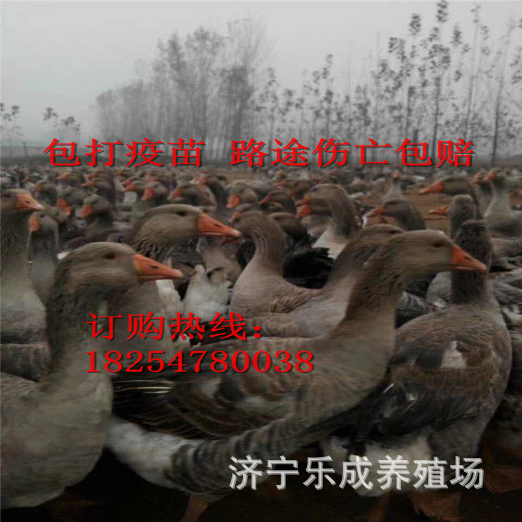 微信圖片_2020061922343423.jpg