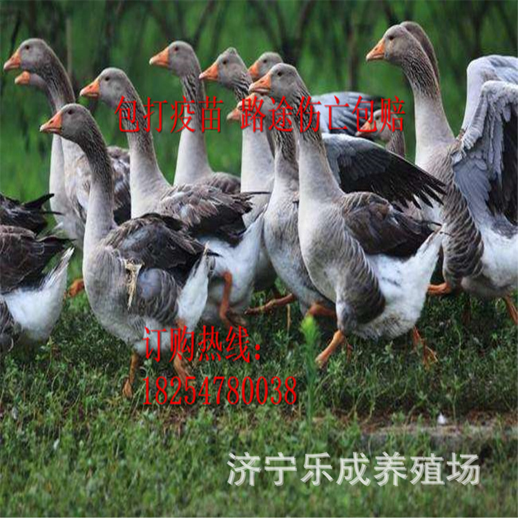 微信圖片_2020061922343423.jpg
