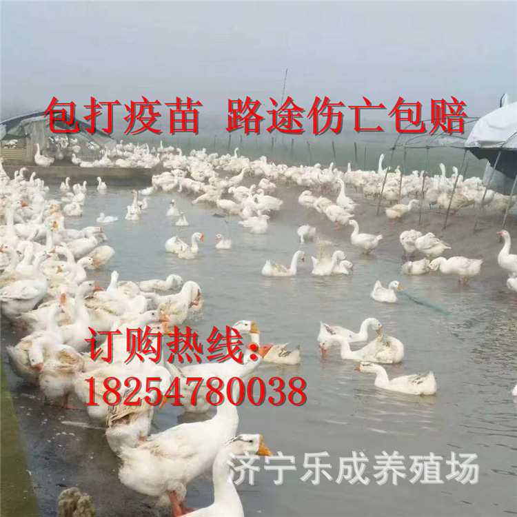 微信圖片_2020061922343424.jpg