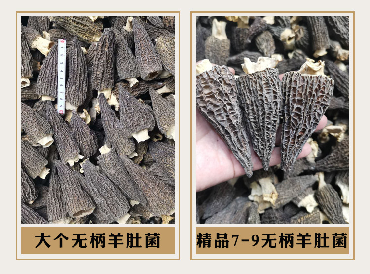 詳情_01