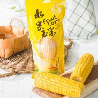 水果玉米棒 甜玉米單根230g 新鮮不加添加劑開袋即食真空包裝批發(fā)