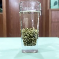新茶 茉莉花茶 茉莉飄雪 濃香型茉莉花茶 橫縣茶葉批發(fā)廠家直銷