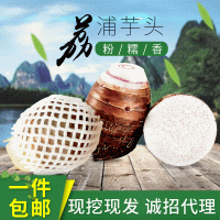 荔浦山那邊農(nóng)莊新鮮現(xiàn)挖廣西特產(chǎn)荔浦芋頭 檳榔芋香芋種子包郵