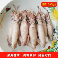 鮮籽烏新鮮滿籽野生小海兔筆管魚連云港海鮮水產(chǎn)批發(fā)冷凍生鮮純籽