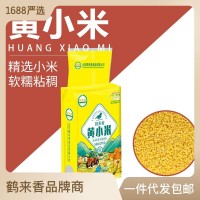 黃小米500g批發(fā)散裝山西新米農(nóng)家香糯小米五谷雜糧粥粗糧 鶴來(lái)香