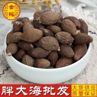 胖大海批發(fā)大貨胖大海 各種規(guī)格圓果胖大海價優(yōu)農產品加工胖大海