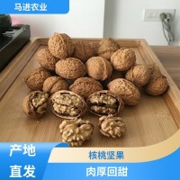 手工挑選 核桃堅(jiān)果 產(chǎn)地直發(fā) 馬進(jìn)農(nóng)業(yè)種植合作社