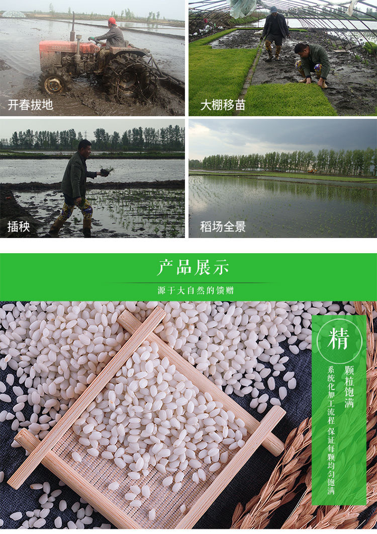 糯米紫袋詳情4