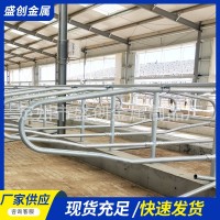 一體成型牛臥床 雙面牛臥欄 奶牛定位欄 養(yǎng)牛用限位欄