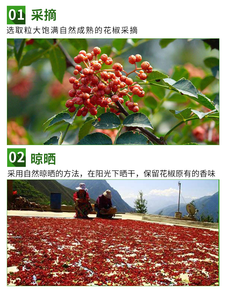 大紅袍花椒_06