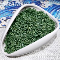 濃香綠版松陽香茶2023新茶產(chǎn)地供應(yīng)高山云霧日照炒青浙江綠茶批發(fā)
