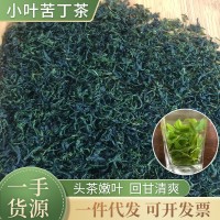 廠家批發(fā)筠連小葉苦丁茶生津解渴微苦回甘青山綠水小葉苦丁茶