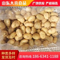 全年供應出小土豆口土豆 100G土豆 150G土豆200g土豆大量供應中