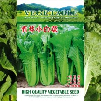 青華小白菜種子200g袋裝色量綠口感翠嫩無纖維品質好蔬菜種子批發(fā)