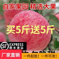 【順豐包郵 】山西丑蘋果冰糖心脆甜多汁紅富士水果5/10斤包郵。