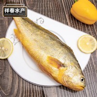 冰鮮黃花魚(yú)新鮮冷凍小黃魚(yú)海捕速凍無(wú)冰衣生鮮水產(chǎn)黃魚(yú)