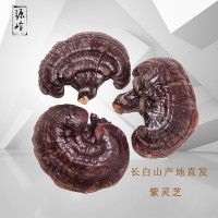 批發(fā)靈芝 長白山紫靈芝 半靈芝 東北特產(chǎn)靈芝500克20個左右