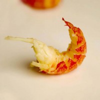 外貿(mào)小龍蝦仁帶黃無冰衣網(wǎng)紅大號小龍蝦尾肉蝦球海鮮冷凍餐飲商用