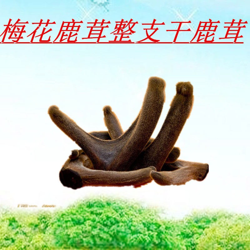 微信圖片_20180617234849