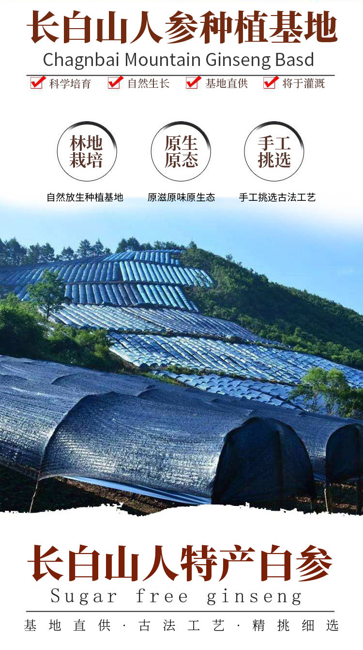 白參詳情頁05_02.jpg