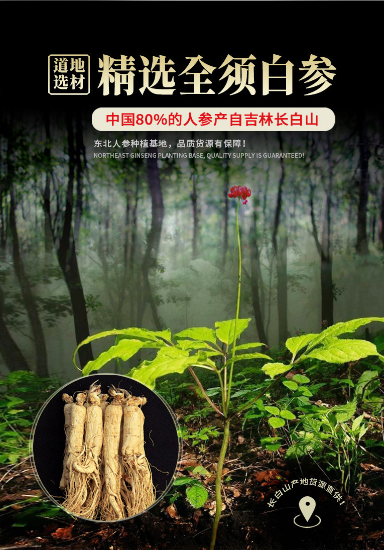 白參詳情頁02_02.jpg