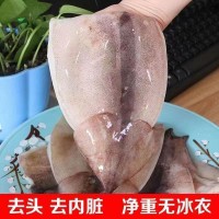 舟山魷魚筒冷凍新鮮大魷魚去頭燒烤鐵板串廠家直銷順豐冷鏈直發(fā)