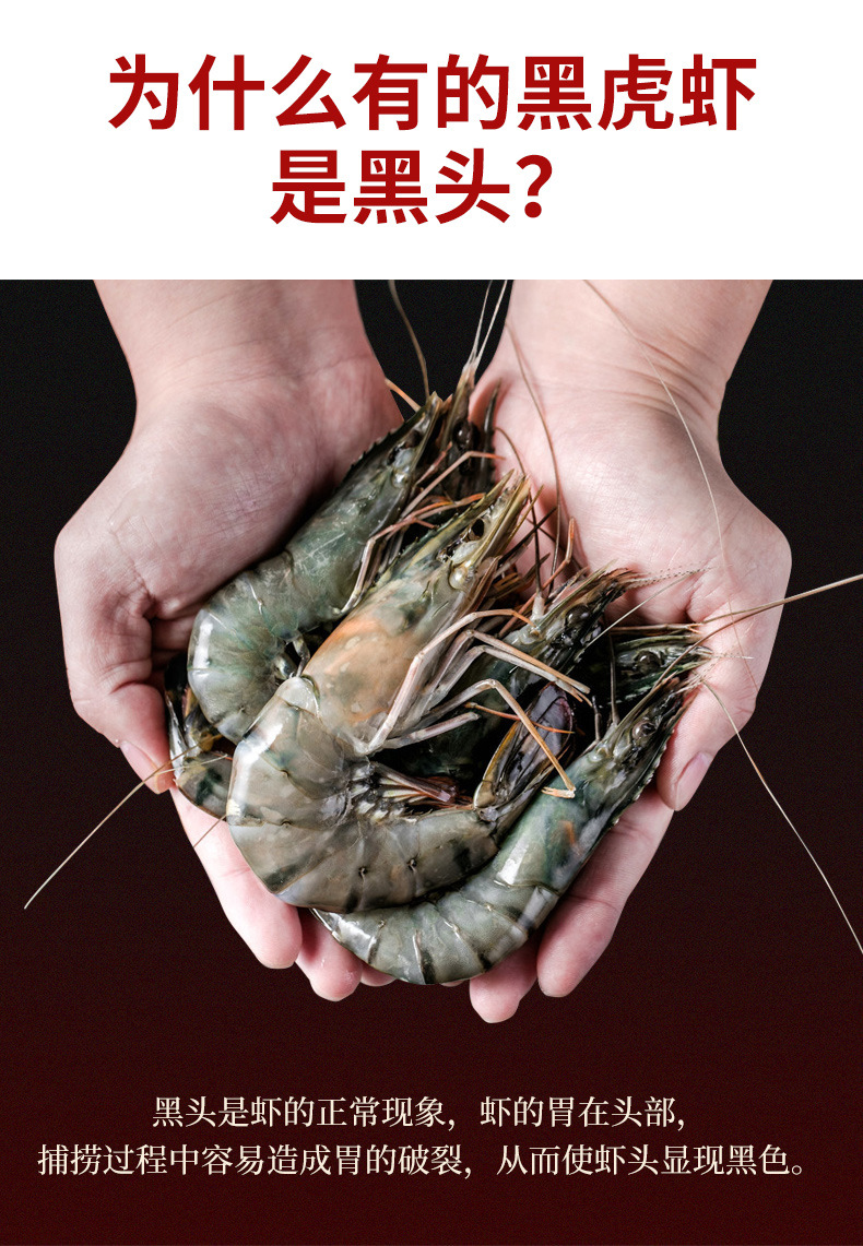 描述9.jpg