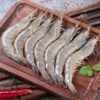 漁蝦貝海珍品鮮活冷凍青島大基圍蝦整箱新鮮對(duì)蝦海蝦活蝦大蝦批發(fā)