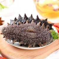 廠家批發(fā)大連即食海參鮮食海參遼刺參非干貨500g禮盒海生鮮活速食