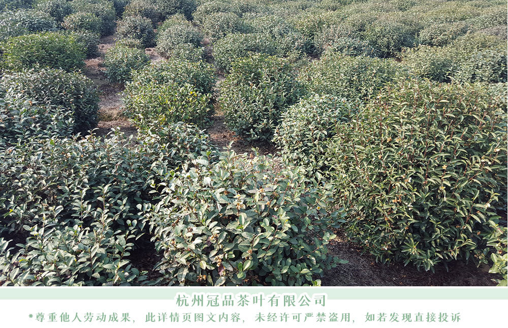 冠品詳情頁公司介紹_12