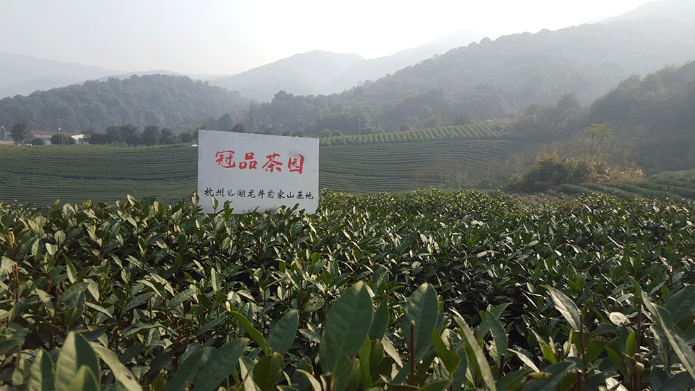 冠品詳情頁公司介紹_14