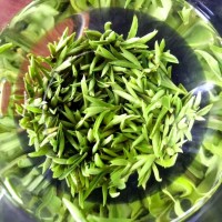 送禮2023年新茶春茶葉綠茶批發(fā)散裝安吉工藝艾達福浙江黃金芽白茶