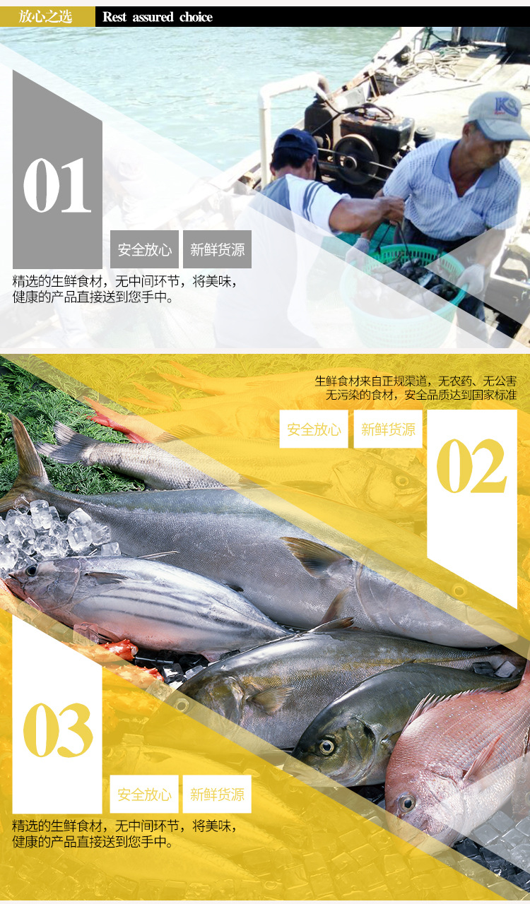 海參_10