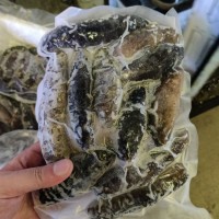 水發(fā)海參冷凍水產(chǎn)品1斤/包6-13頭 可刺身解凍即食海參