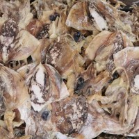 新貨東海淡干咸小墨魚干海產(chǎn)品 目魚干貨烏賊干墨魚500克袋裝
