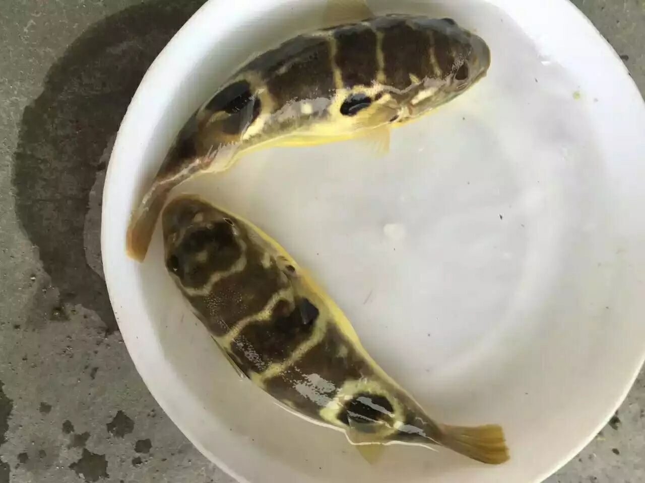 QQ圖片20190320212912